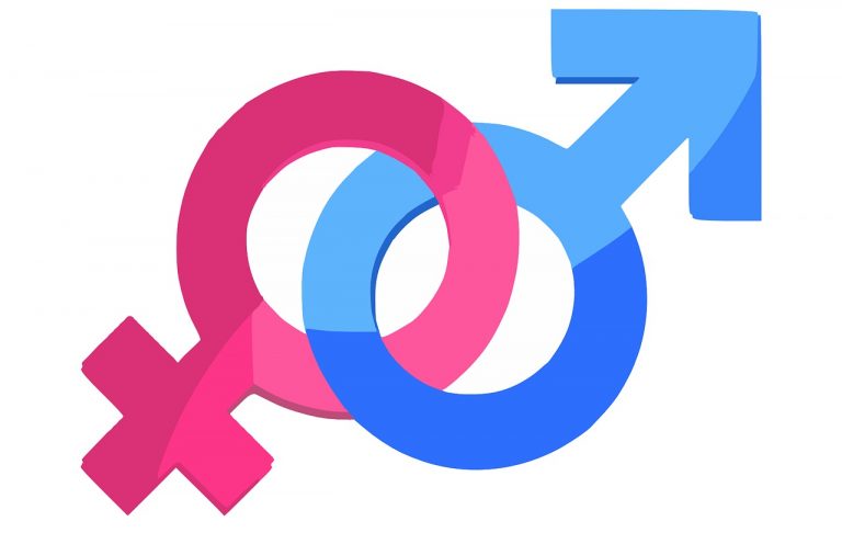 gender rodovná rovnosť